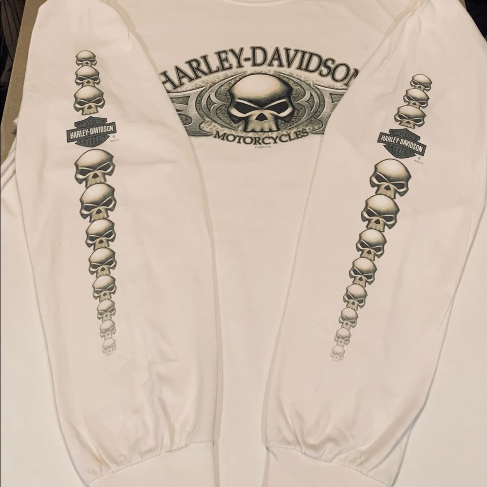 Vintage 2002 Harley Davidson Long Sleeve Skull Tee Men L